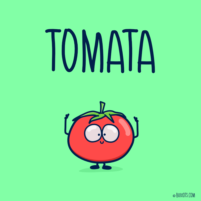 Tomata tomàquet tomaca mot il·lustrat