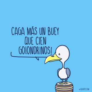 Caga más un buey que cien golonrdrinos