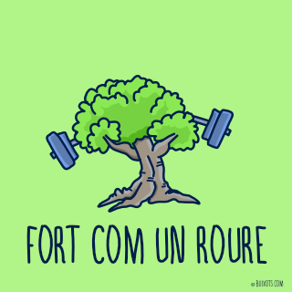 Fort com un roure